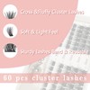 PURELEOR Individual Lashes Cluster Lashes Pack for Manga Lashes DIY