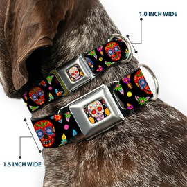 Dog Collar Seatbelt Buckle Colorful Calaveras Black Multi Color 11 to 17 Inches 1.0 Inch Wide