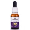Living Essences Blue Leschenaultia 15ml