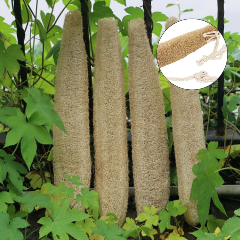 Esponja de Espalda para Ducha de Fibra Vegetal – Tira