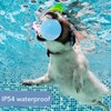 Smart Interactive Dog Ball Toy with LED Lights IP54 Waterproof