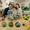 Jumping Spider Enclosure, Acrylic Terrarium with Partition Divider (1-2 Compartments),