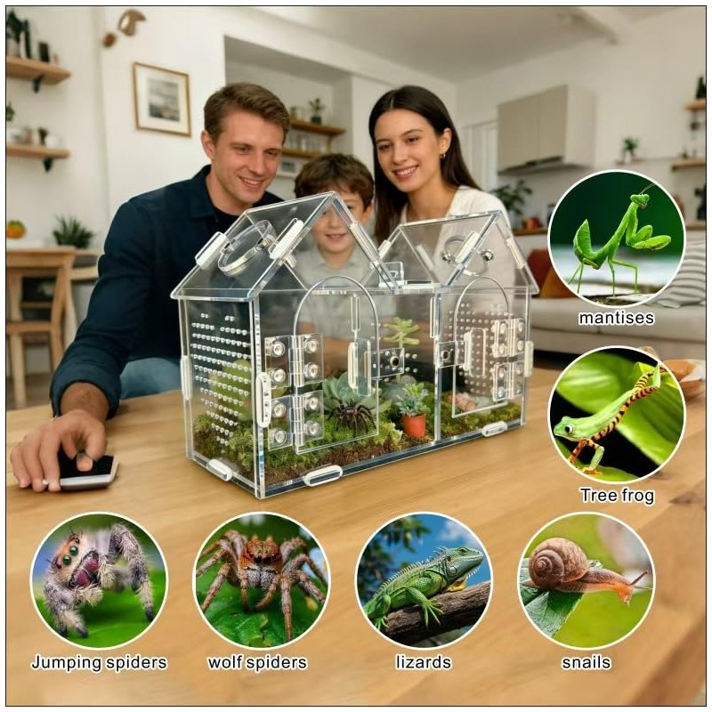 Jumping Spider Enclosure, Acrylic Terrarium with Partition Divider (1-2 Compartments),