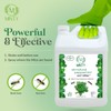 Minty Ant Killer - Natural 5% Peppermint Essential Oil Spray