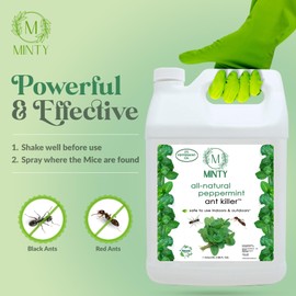 Minty Ant Killer - Natural 5% Peppermint Essential Oil Spray for Bugs, Ants and Insects - Safe for Indoor & Outdoor Use Repellent Spray 128 Fl Oz Gallon Trigger Sprayer