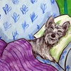 Schnauzer taking a Nap dog art tile coaster gift