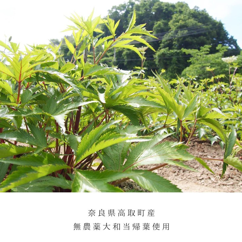 nifu natural bath bag gift set (4 types x 1