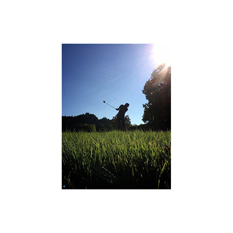 Arnold Palmer APT-100 Golf Tees Long (Pack of 15)