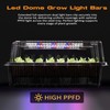Patigrow 80-Cell Self-Watering Seed Starter Tray with Grow Light, Seed
