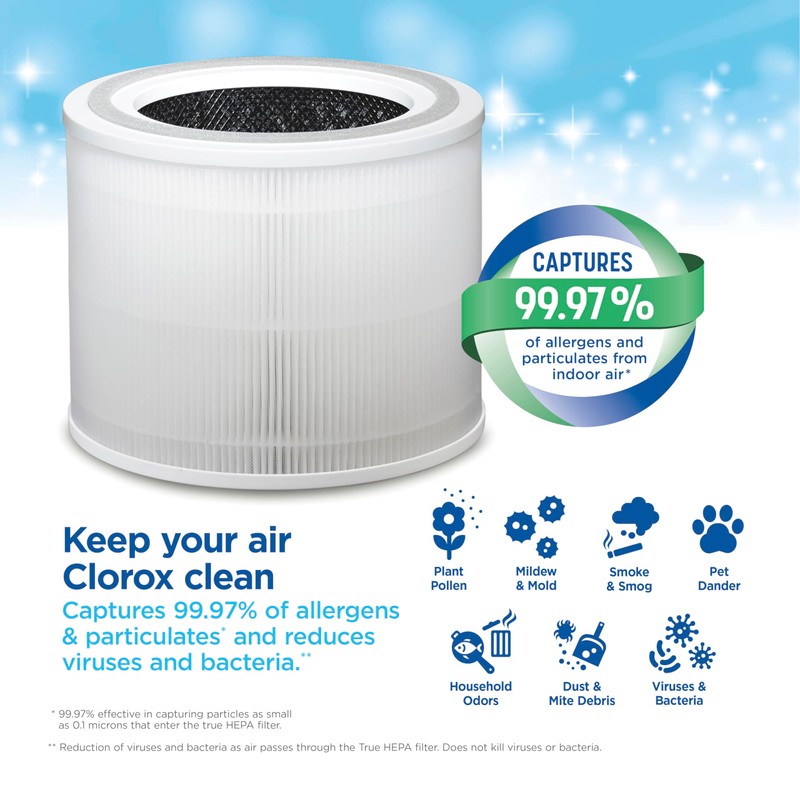 Clorox Medium Room Air Purifier True HEPA Replacement Filter, 1,000
