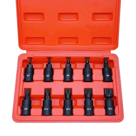 ACEBON Triple Square Spline Bit Socket Set, 10-Piece M4 - M16 Set | Premium Cr-V Steel | 3/8-Inch Drive | Enhanced Storage Case (Spline Bit)