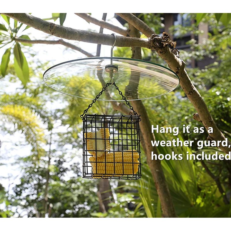 13 1/2 Inch Clear Glass Two-Way Squirrel Baffle and Weather