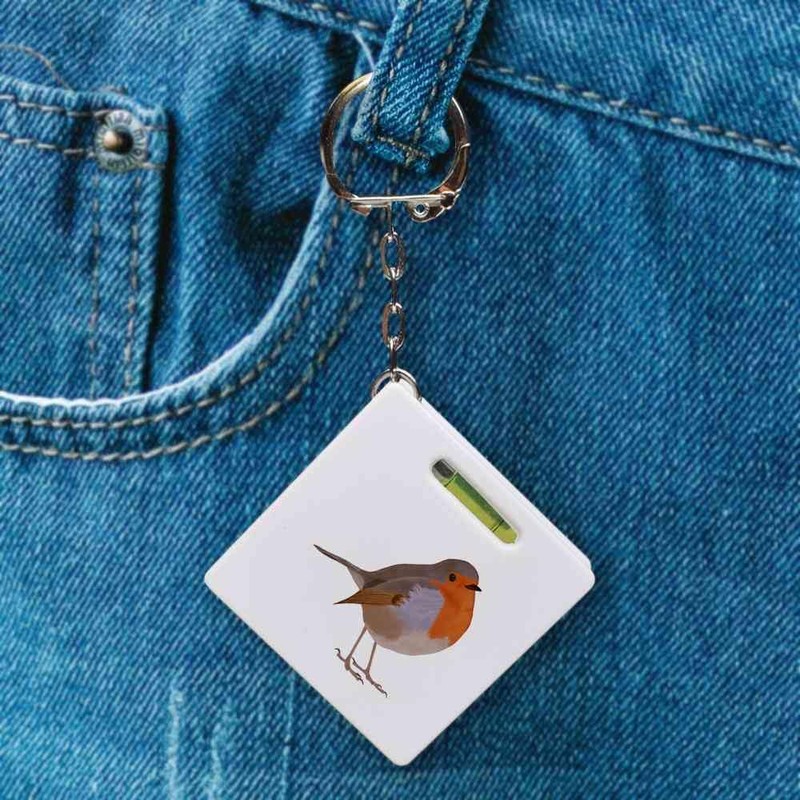 Azeeda 'Robin' Keyring Tape Measure/Spirit Level Tool (KM00017260)