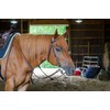 Tahoe Tack Plain Double Layer Nylon Headstall with Reins, Multiple