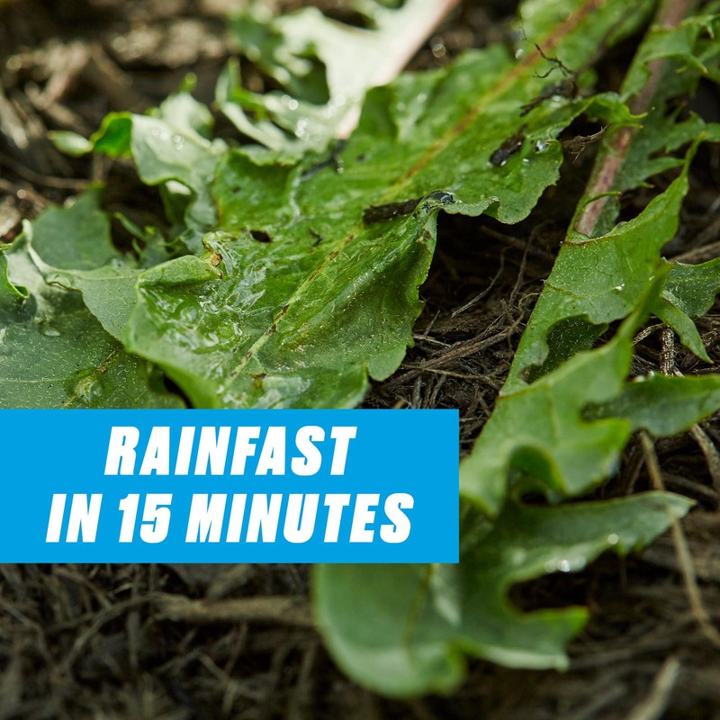 Ortho GroundClear Super Weed & Grass Killer1 with Comfort Wand