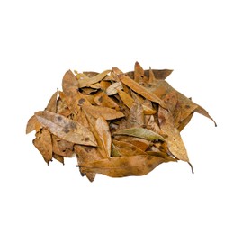 The Bio Dude Leaf Litter - Live Oak Litter - Great for bioactive terrariums, vivariums and Fish