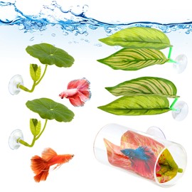 5PCS Bettas Hammock Fish Toys Set, Acrylic Tube Tunnel for Bettas Fish Tank Decorations, Aquarium Hideout with Spare Suction Cups(Color:Green)