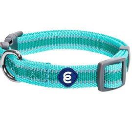 Blueberry Pet Essentials Matching Large Dog Collar | Adjustable Classic Solid Color Nylon Dog Collars for Large Dogs | Reflective Minty Green Dog Collar for Large Dogs