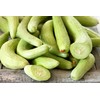Armenian Yard-Long Cucumber Seeds - Non-GMO - 4 Grams, Approximately