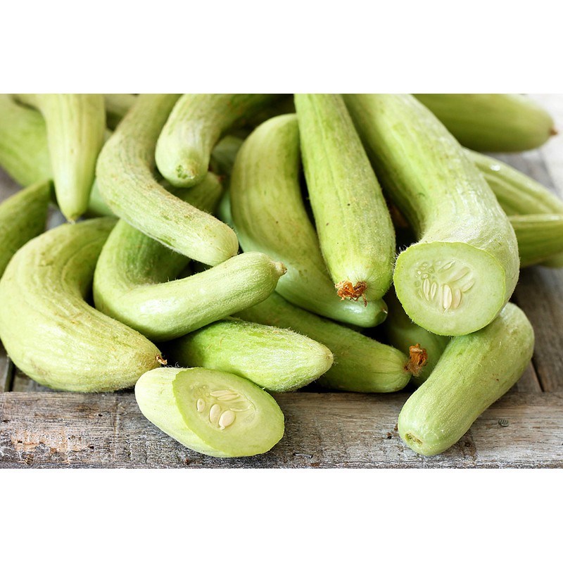 Armenian Yard-Long Cucumber Seeds - Non-GMO - 4 Grams, Approximately