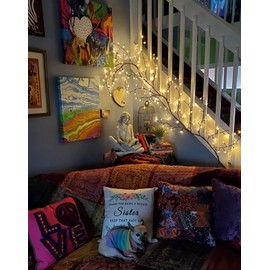 Enchanted Willow Vine Lights with Remote, Christmas Fall Decorations Indoor Room Decor, 8 Modes Artificial Plants Lighted Willow Vine Lights, Wall Decor for Room Decor, Wall Light