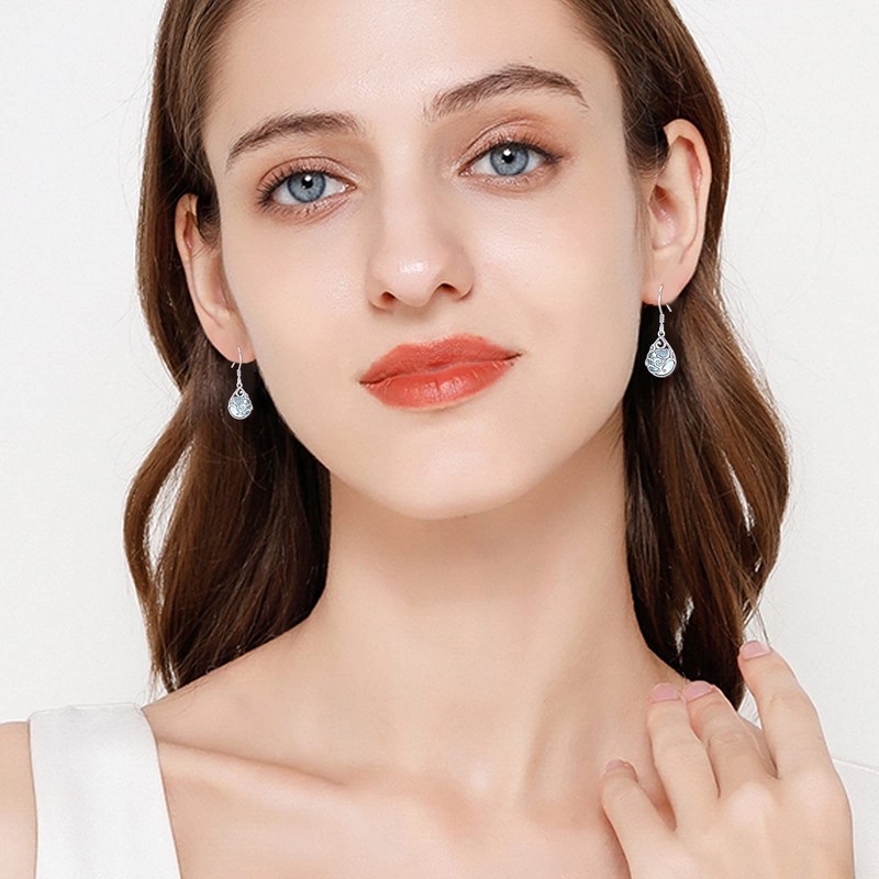 925 Sterling Silver Women's Moon Earrings Hypoallergenic Ear Hooks Moon