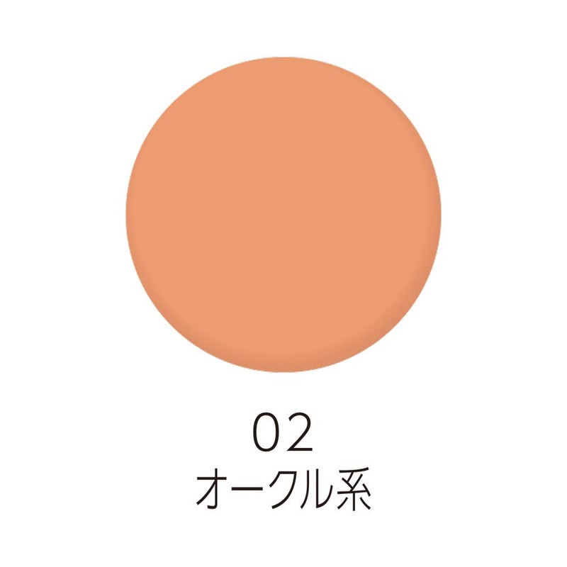 Cezanne Concealer Crayon UV 02 Ochre Type 0.06 oz (1.8