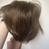Toni Brattin Medium Brown Wig. Contemporary Bob By Toni Brattin.