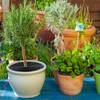Sawysine 3 Pcs Plant Pot Cover Plant Protector from Animal