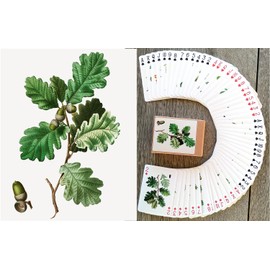 FLONZGIFT Trees and Leaves Playing Cards (Poker Deck 54 Cards All Different) Vintage Antique Botannical Books Illustration by Pierre Redoute