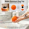 Automatic Interactive Dog Ball - Self Moving Toy for Medium
