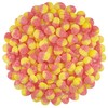 Smarty Stop Sour Gummy Candy, Mini Size, Fizzy (1 Pound