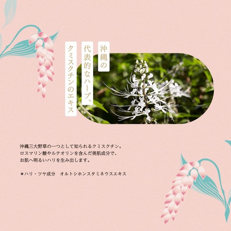 Okinawa of puremiamurururunhaibisukasu Scented Set of 1 X 5 Bags