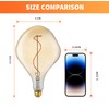 ALAMPEVER Dimmable LED Decorative Oversized Edison Bulbs 25W, 2200K Warm