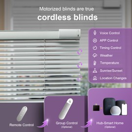 Motorized Blinds with Remote Control Solar Powered Blind Window Blind Cordless Automatic Electric Blinds Windows Light Filtering Compatible with Google Alexa,White 29" Wx64 H