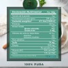 Alga espirulina en polvo 1kg