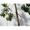 Bird B Gone Flash Tape Visual Bird Deterrent (50ft Roll)