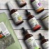 Natural Hope Herbals MORINGA MINT TEA - USDA Certified Organic