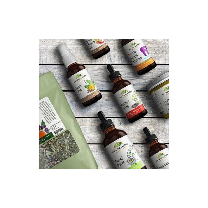 Natural Hope Herbals MORINGA MINT TEA - USDA Certified Organic