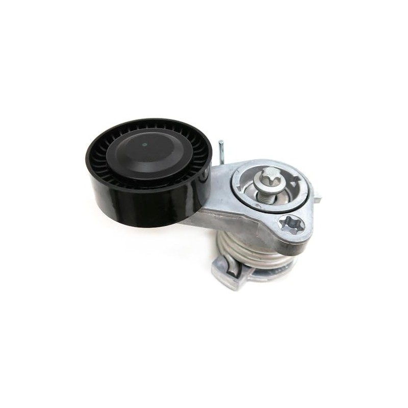 SKF VKM 38250 Tensioner Pulley Set for Secondary Drive