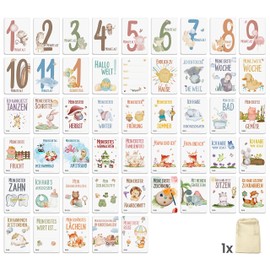 CONTRAXT Milestone Cards Baby Cards My Milestones Baby Milestones German My First Year Cards Milestone Cards Pregnancy Baby Monthly Cards Girls Boy (German)