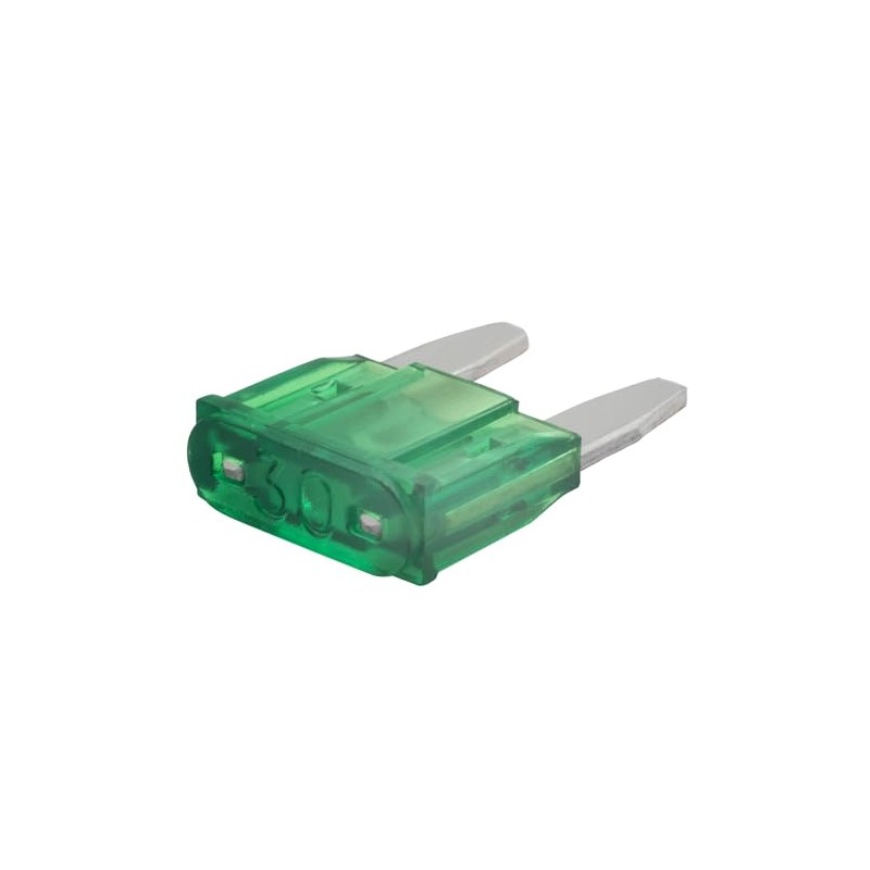 SeKi Mini Blade Fuse 30 A Green Car Fuse 32