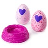 Hatchimals 6041329 "Colleggtibles 2 Pack + Nest - Season 2"