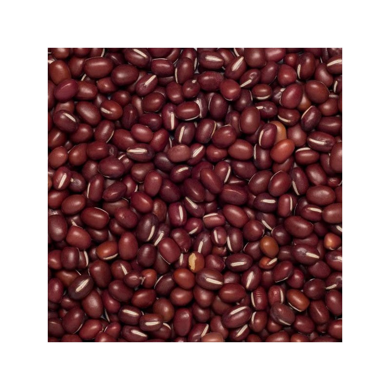 Whole Food Earth® - Aduki Beans 500 g | GMO