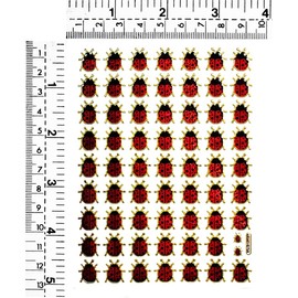 Stickers Glitter Pack 10 Sheets Red Ladybug Insect Bee Animal Ladybug Cartoon Label Stickers Craft Scrapbooking Books Cup Water Bottles DIY Decoration for Kids and Teachers (12)