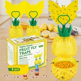 Fruit Fly Trap for Indoors, Effective Fruit Fly Catcher Gnat Killer with Sticker, Gnat Traps for House Indoor with Bait, Non-Toxic Reusable Easy to Use Fly Trap for Kitchen Home - 2 Pack, Clear Yellow