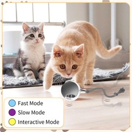 Pet Smart Rolling Ball, Cat Toy Ball, Cat Toy Ball, Self-Entertainment Cat Ball, Indoor Cat Toys, Cat Puzzle Toy, Cat Balls for Play and Interaction, Perfect for Cat Lovers (Grey)