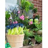Miracle-Gro 0754210 RTU24 Nature's Care Garden Insect Control
