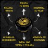 Balsamo Realgrow Para Crecer Y Engrosar La Barba Cítrica