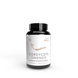 Pilze Wohlrab | Cordyceps Kapseln hochdosiert | 60 Stück | 350 mg Cordyceps sinensis Extrakt je Kapsel | Bio Acerola Vitamin C